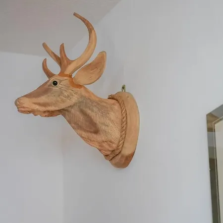 Riederhof 355 Lägenhet