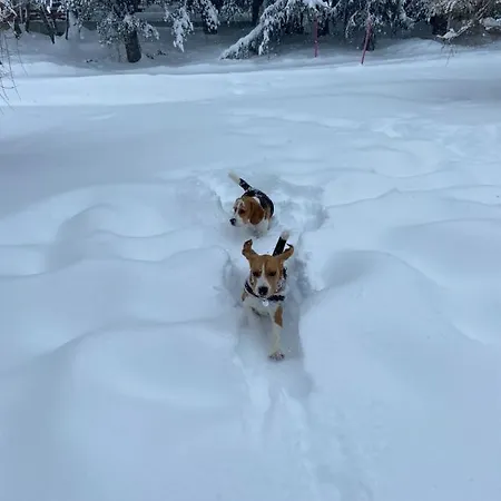 Riederhof 355 * Riederalp