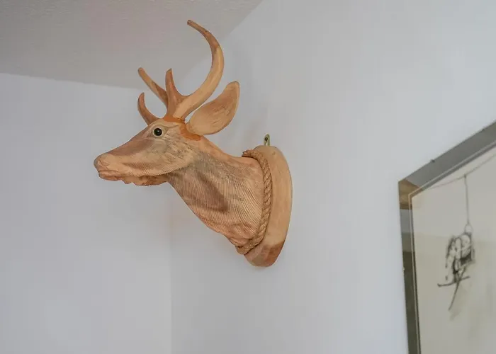 Riederhof 355 Appartement