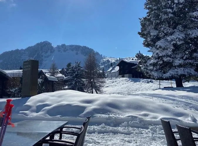 Appartement Riederhof 355 *