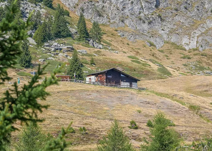 Appartement Riederhof 355 *