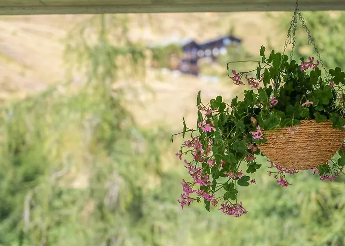 Appartement Riederhof 355 *