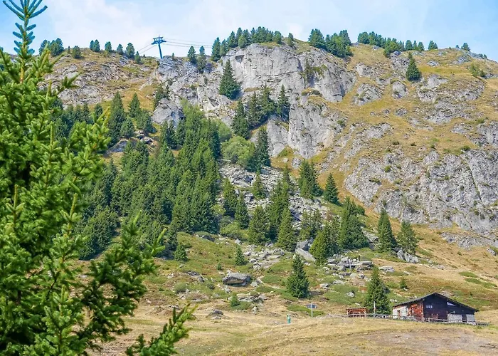 Appartement Riederhof 355 Riederalp