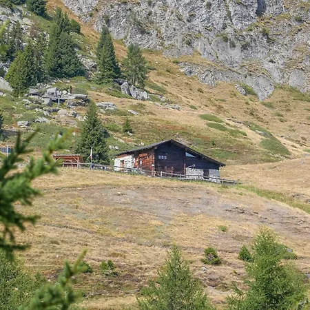 公寓 Riederhof 355 *