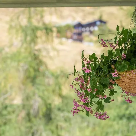 公寓 Riederhof 355 *